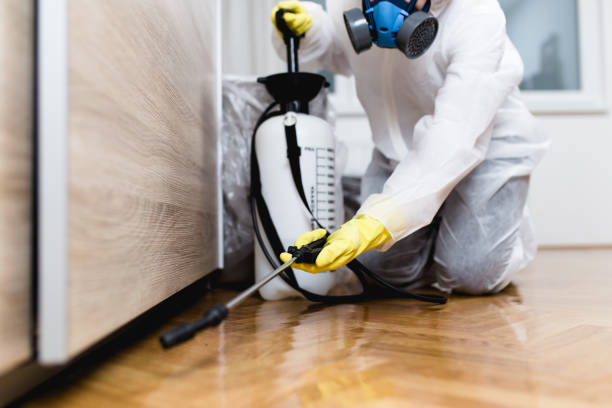 Best Best Pest Control Companies  in Coleraine, MN