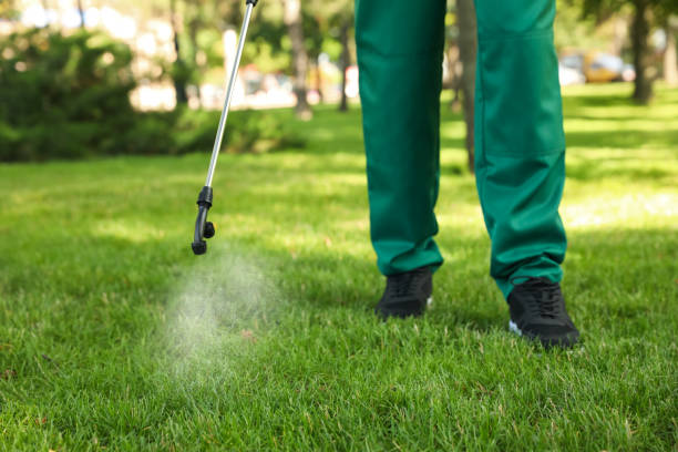Professional Pest Control in Coleraine, MN