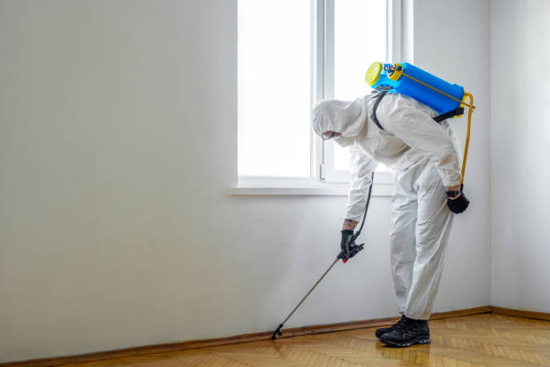 Best Termite Control Services  in Coleraine, MN